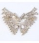 EVER FAITH Austrian Butterfly Gold Tone in Women's Brooches & Pins