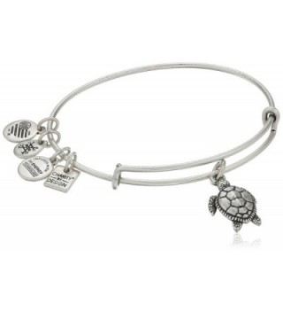 Alex and Ani Charity By Design Turtle Rafaelian Bangle Bracelet - Rafaelian Silver - CT12ID51BIF