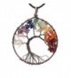 Expression Jewelry Tree Of Life Gemstone 7 Chakra Crystal Necklace Silver Toned with Cord Necklace - C3184KWQNI4