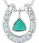 Montana Silversmiths Turquoise Horseshoe NC3214TQ