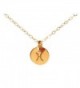 Pisces Necklace - Tiny Gold Filled Simple Zodiac Sign with Birth Month Charm- Zodiac Necklace - C011EGL0APZ