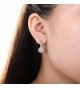 BERRICLE Sterling Zirconia Leverback Earrings