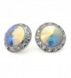 PammyJ Aurora Borealis 20mm Round Crystal Framed Post Earrings - CG113W9MS3F