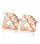 UHIBROS Earrings Hypoallergenic Stainless Zirconia