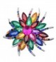 SANWOOD Wedding Bridal Large Flower Rhinestone Scarf Brooch Broach Pin Crystal Breastpin Jewelry (MultiColor) - CK183CCX5WX