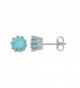 Sterling Silver Turquiose Stud Earring - CM188CZKXUT