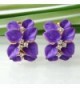 Navachi Plated Crystal Purple Earrings