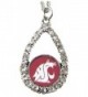 Washington State Cougars Crimson Teardrop Clear Crystal Silver Necklace Jewelry WSU - C511J1GDU2L