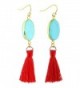 SUNYIK Howlite Turquoise Tassel Earrings in Women's Drop & Dangle Earrings