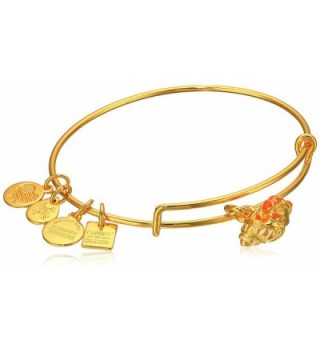 Alex and Ani Charity By Design Hermit Crab Expandable Gold-Tone Bangle Bracelet - CC12EPK41YD