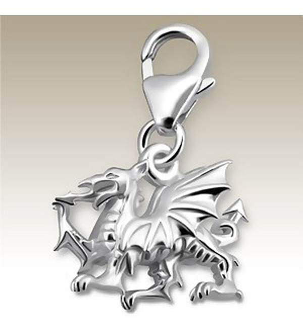 3D Dragon Charm with Lobster Clasp- Sterling Silver 925- for Charms Bracelet- Necklace (E14241) - CU11JY7BG87