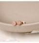 Womens Rose Plated Scrub Earrings in Women's Stud Earrings