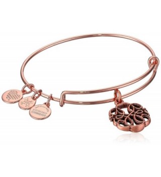 Alex and Ani Womens Path of Life Charm - Rose Gold - C71874AHS7N