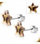 Stainless Steel 2-tone w/ Brown Leopard Print Acrylic Star Stud Earrings (pair) - TTE259 - CT17YIXUMGU