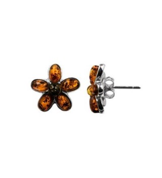 Sterling Multicolor Amber Jewelry Earrings