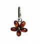 Sterling Multicolor Amber Jewelry Earrings in Women's Jewelry Sets