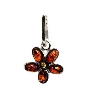 Sterling Multicolor Amber Jewelry Earrings in Women's Jewelry Sets