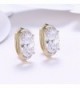 FENDINA Leverback Earrings Champaign Zirconia in Women's Earring Jackets