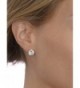 Mariell Zirconia Earrings Simulated Diamond in Women's Stud Earrings