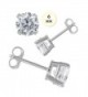Sterling Earring Simulated Earring Friction - CL116YDBL75