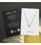 HONEYCAT Crystal Necklace Minimalist Delicate in Women's Chain Necklaces