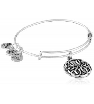 Alex and Ani Path of Life III Expandable Rafaelian Bangle Bracelet - Rafaelian Silver - CL128Y5792L