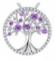 Amethyst Necklace February Birthstone Sterling - The Tree of Life Birthsone Necklace - C2189W39Y4A