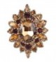 EVER FAITH Women's Rhinestone Crystal Elegant Sunflower Brooch - Brown Antique Gold-Tone - C112I5WQHY9