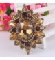 EVER FAITH Rhinestone Sunflower Gold Tone in Women's Brooches & Pins