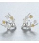 Earrings Earring Sterling Brincos Jewelry in Women's Stud Earrings