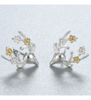 Earrings Earring Sterling Brincos Jewelry in Women's Stud Earrings