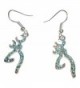 Bling Crystal Blue Browning Drop Earrings for Women - C8122FHU5CP