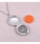 HooAMI Aromatherapy Essential Diffuser Necklace in Women's Lockets