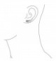 Guardian Feather Sterling Silver Earrings