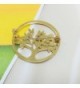 CHUANGYUN Plated Delicate Broohes Corsages in Women's Brooches & Pins