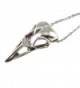 JJG Vintage Antiqued Silver Crow Raven Skull Necklace with Stainless Steel Chain 18' - CP1822R07H9