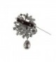 Rhinestone Covered Brooch Clothes Scarves in Women's Brooches & Pins