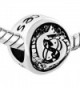 CandyCharms Pisces Horoscope Zodiac Bracelet