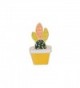 Children Cactus Flower Potted Corsage in Women's Brooches & Pins