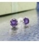 Purple Amethyst Gemstone Birthstone Earrings