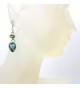 Shimmer Sterling Silver Labradorite Earrings