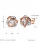 Love heart Cubic Zirconia Earrings in Women's Stud Earrings
