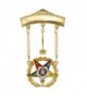 Order of the Eastern Star OES Past Matron 2 Inch Tall Jewel with Safety Clutch - CA11DETIZS5