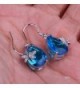 Bigood Crystal Dragonfly Earings Eardrop