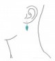Bling Jewelry Synthetic Sterling Leverback in Women's Drop & Dangle Earrings