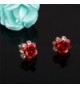 Carfeny Earrings Handcrafted Hypoallergenic Zirconia in Women's Stud Earrings