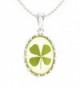 Real Four-leaf Lucky Clover Shamrock Crystal Amber- Elegant Perfect Oval Charm Necklace 18" - CY12CJ02HIX