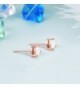 GEMSME Rose Gold Plated Earrings in Women's Stud Earrings