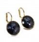 Swarovski Elements Earrings Leverback Closure