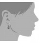 Amello Stainless earrings Swarovski ESOS02K